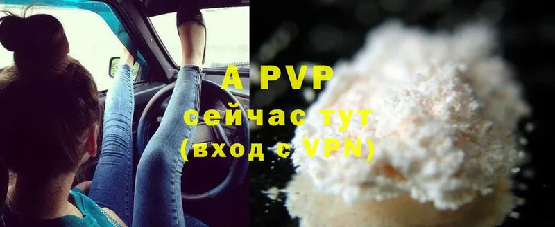 A-PVP СК КРИС Балтийск